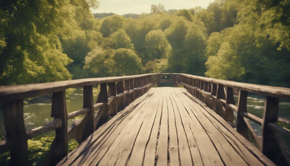 bridge with scenic view