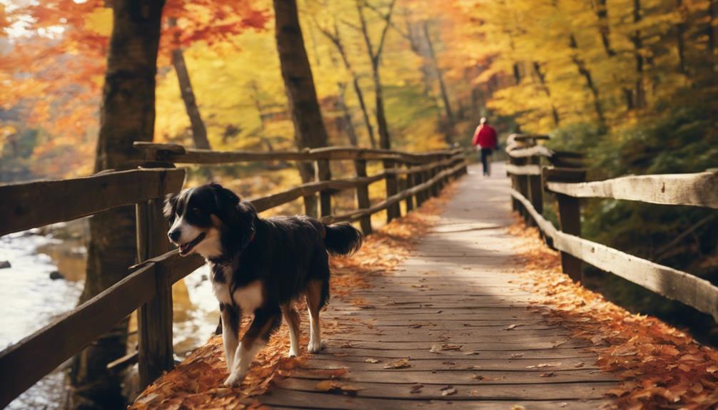 dog friendly locations for pets