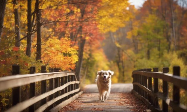 Dog-Friendly Trails Along Pere Marquette Rail Trail