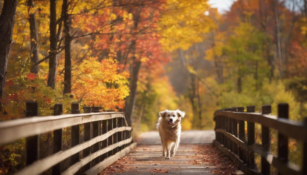 Dog-Friendly Trails Along Pere Marquette Rail Trail